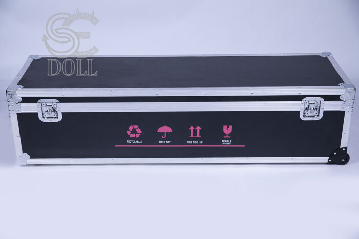Sex doll storage case 1