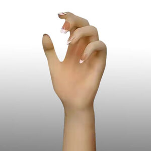 Articulated Finger